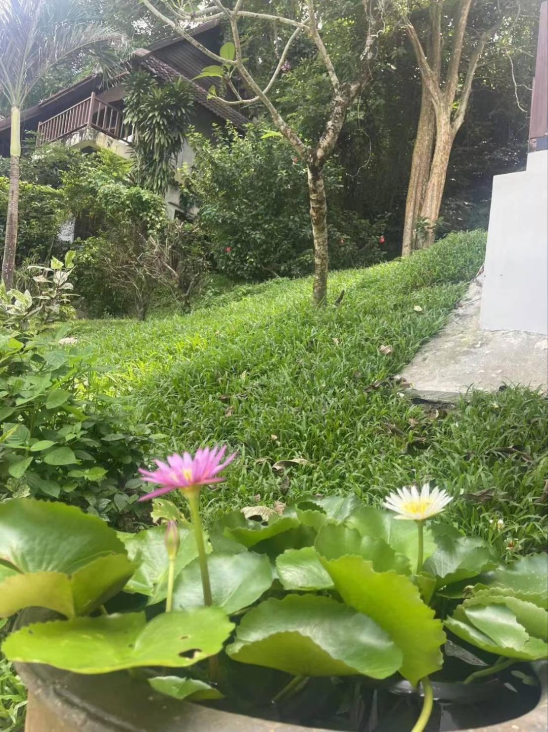Hill 3 Patong